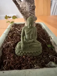Statue de Bouddha — photo 5