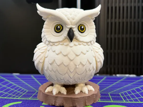 https://makerworld.bblmw.com/makerworld/model/US12fcbe77823655/design/d5277b3ac71fd64c.png