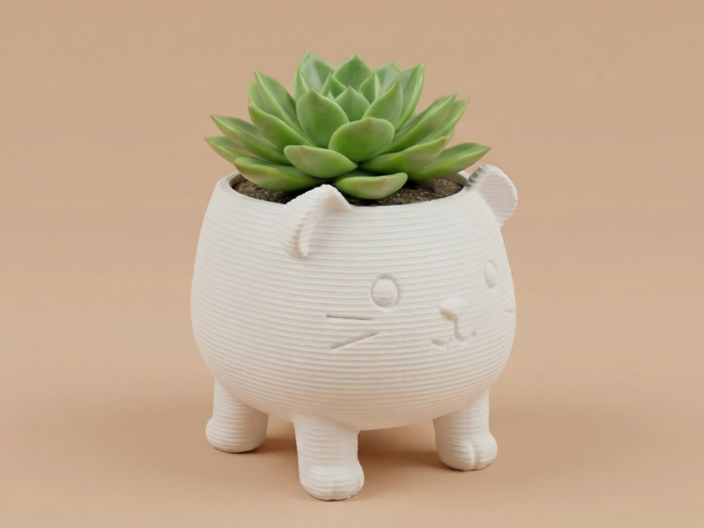 Cute Cavia Planter – Mini Flower Pot
