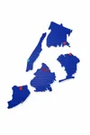 NY Boroughs One Plate