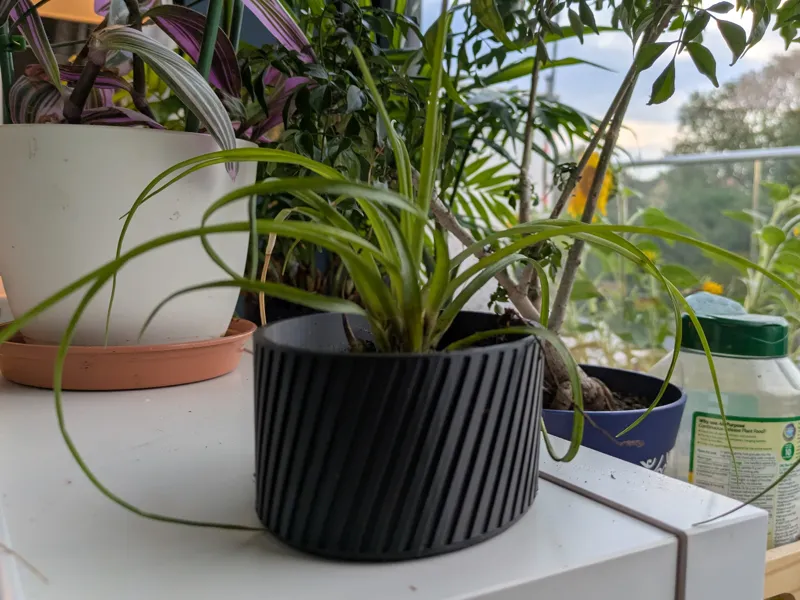 Plant Pot parametric scad