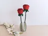 Vases - vase mode
