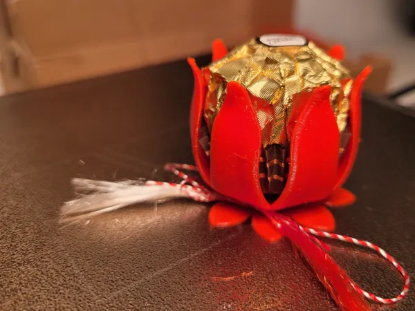 https://makerworld.bblmw.com/makerworld/model/US13111a607f9a46/design/2c66b48289a7fb3b.jpg
