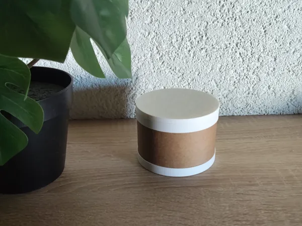 https://makerworld.bblmw.com/makerworld/model/US131330973e9f13/design/2025-08-11_500c2e4c9e33d8.jpg