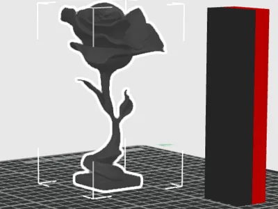 red black rose