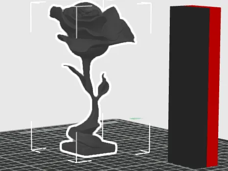 red black rose