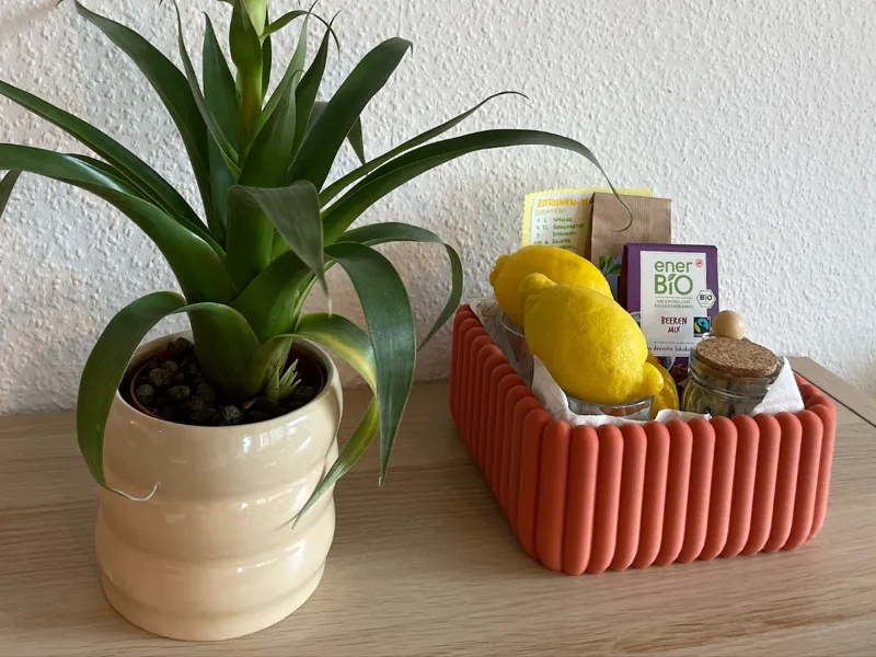 Fluted Ribbed Storage Box – Seamless, No Support