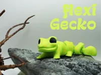 Flexi gecko - Multicolor
