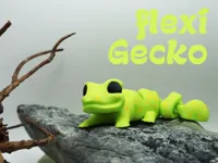 Gecko Singlecolor