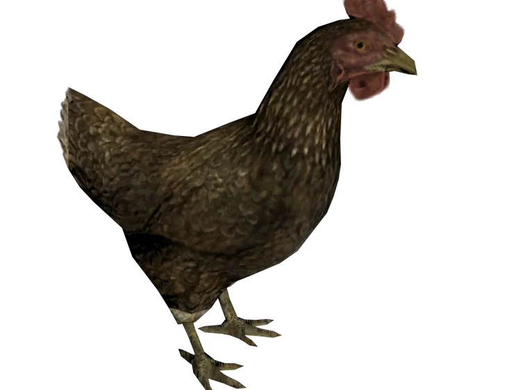 Skyrim Chicken Model