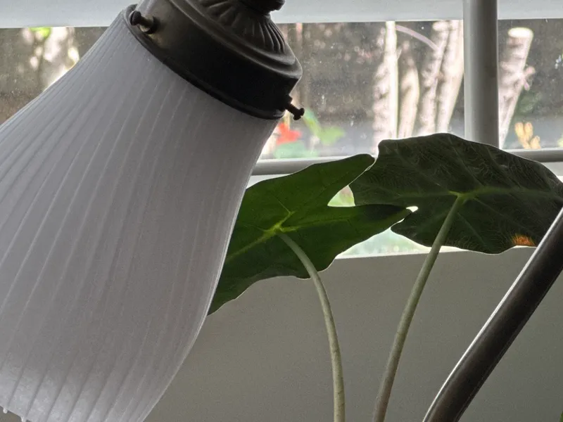 Desk Lamp Shade