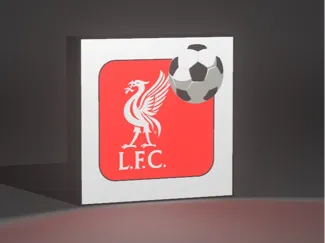 L.F.C Light box
