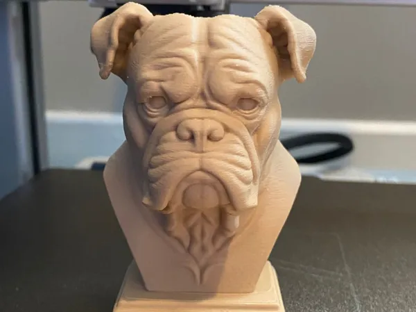 https://makerworld.bblmw.com/makerworld/model/US1323bc8917d75e/design/2025-06-21_7954f33b910db.jpeg