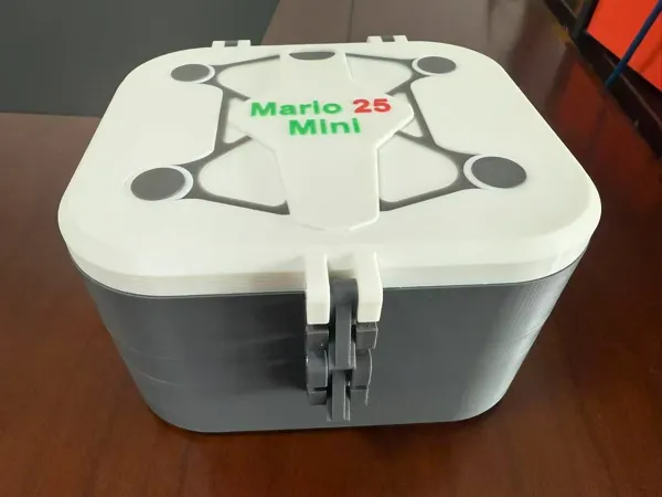 https://makerworld.bblmw.com/makerworld/model/US132bb32e4000d8/design/2025-11-14_f6f4f7e47d37.jpg