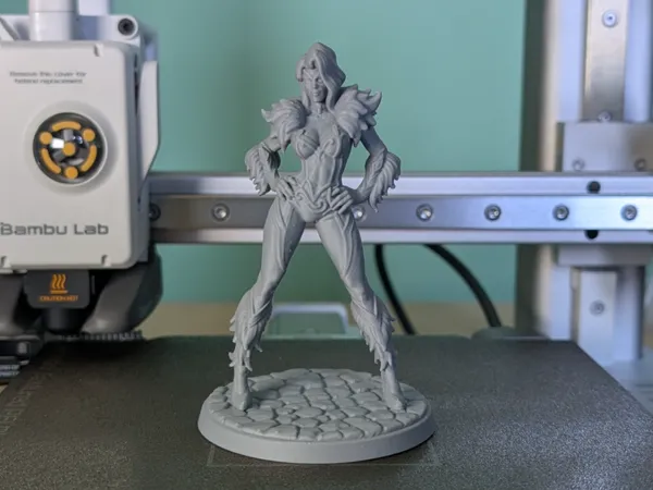 https://makerworld.bblmw.com/makerworld/model/US1331a184fdf291/design/51fa3abab83e574c.jpg