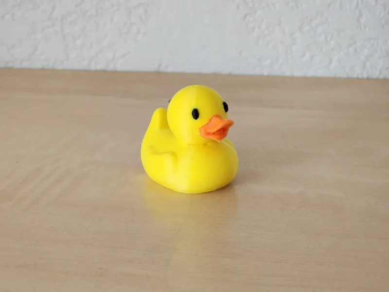 Rubber Duck