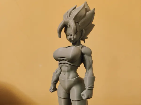 https://makerworld.bblmw.com/makerworld/model/US13384c1336987/design/0710d5825c168e5a.jpg
