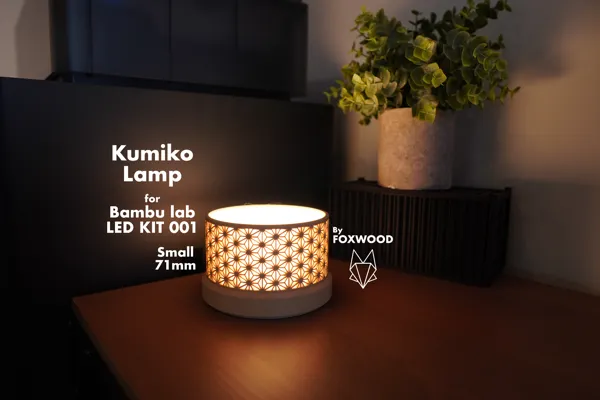 https://makerworld.bblmw.com/makerworld/model/US13395530bec014/design/2024-03-14_2fd9d655993108.jpg