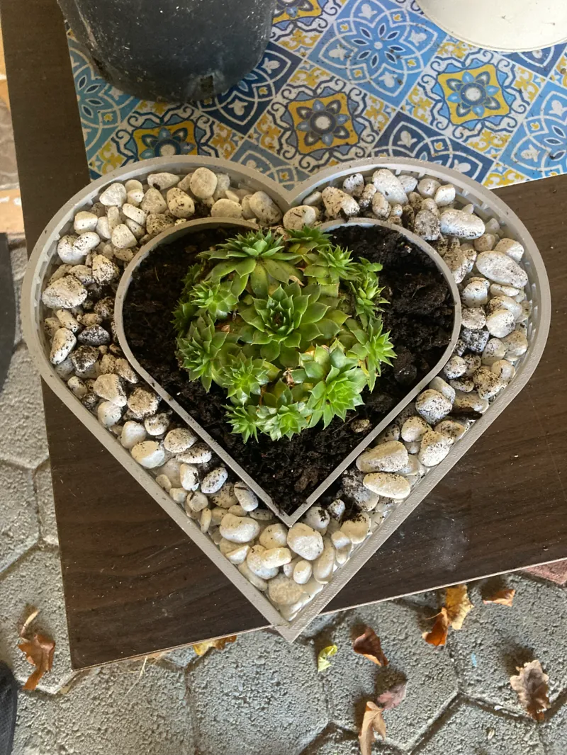 Heart shaped decorative planter