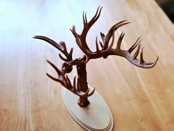 https://makerworld.bblmw.com/makerworld/model/US133bc8316b446b/design/bf4affb856da2142.jpg