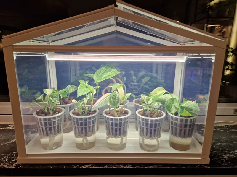 Plant propagation net basket