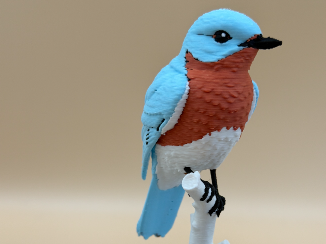 Azure Perch Eastern Bluebird