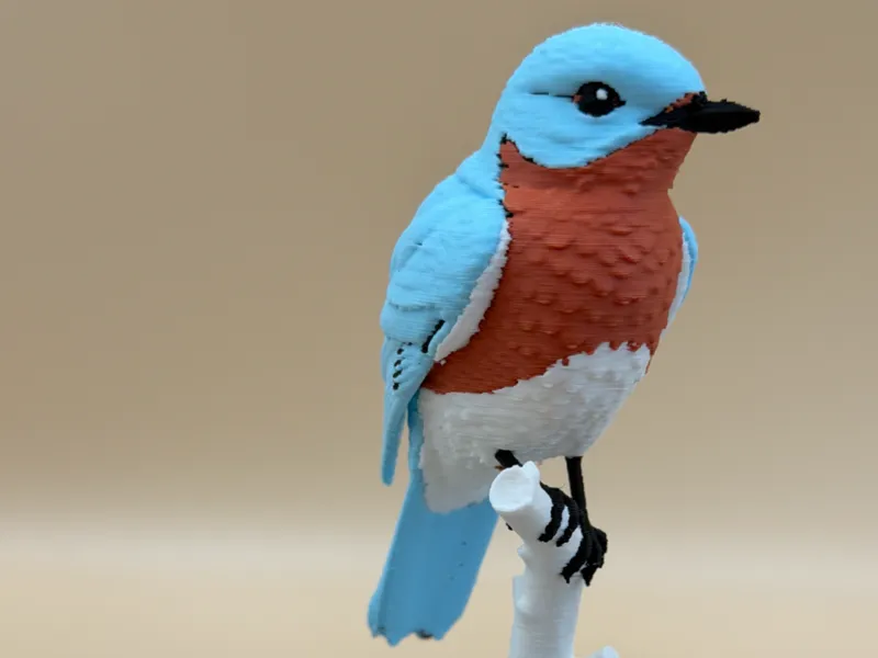 Azure Perch Eastern Bluebird