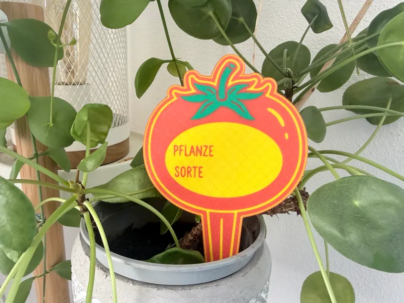 Stylish Tomato Plant Tag – Organize Your Garden!