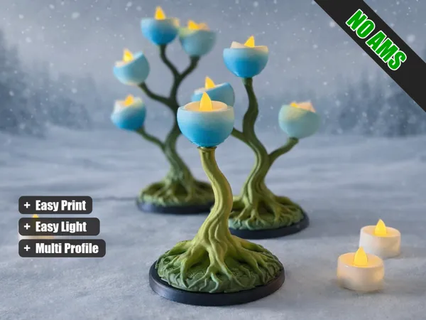 https://makerworld.bblmw.com/makerworld/model/US134a69131dfea4/design/2025-12-29_a3c894d2b36e28.png