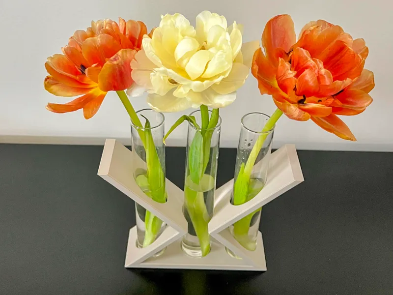 Modern X-Stand for Glass Tubes