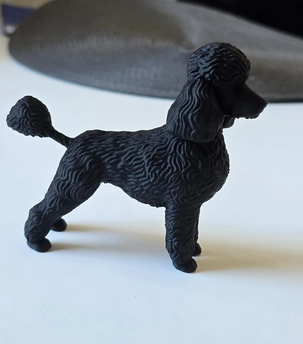 Cute high quality Poodle - Free 3D Print Model - MakerWorld
