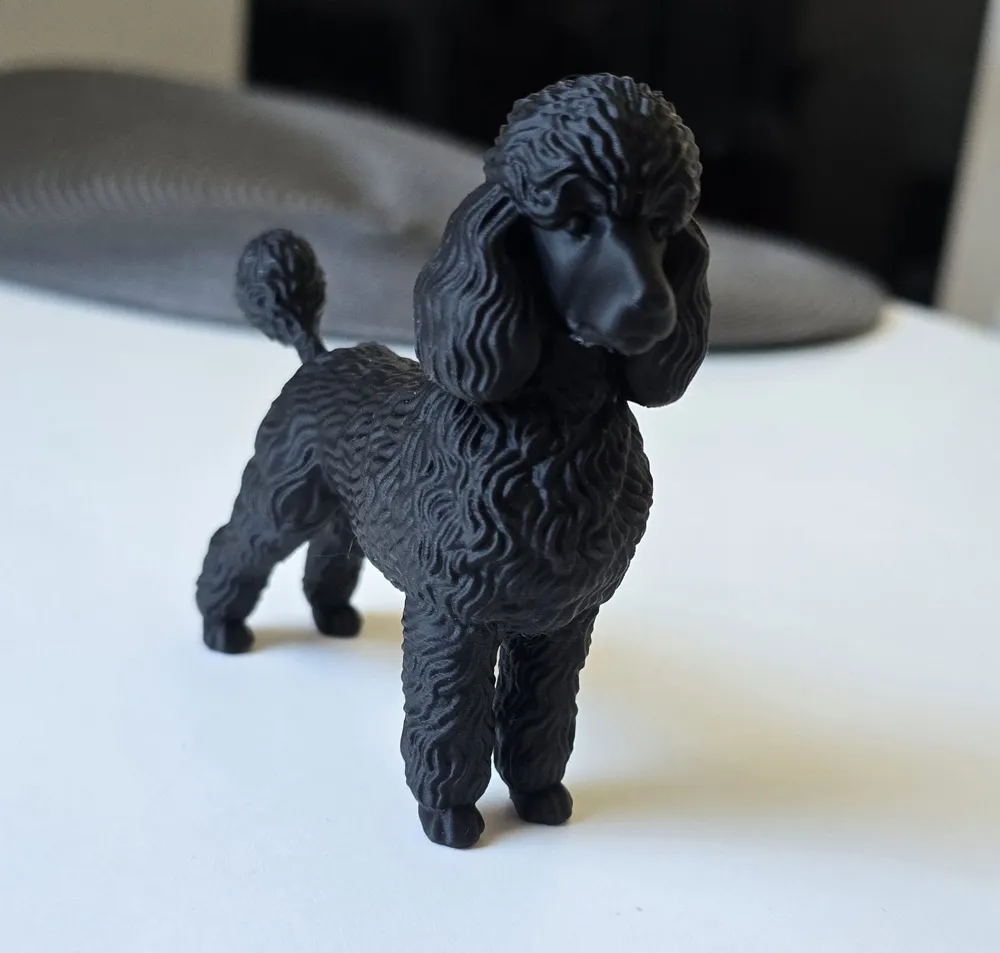 Cute high quality Poodle - Free 3D Print Model - MakerWorld