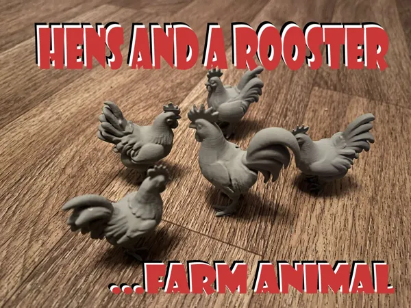 Poules et coq