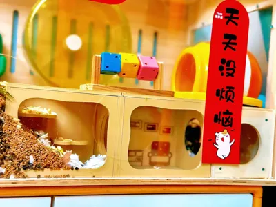 Magnetic Hamster Maze House: Hamster Edition "Lego" Villa