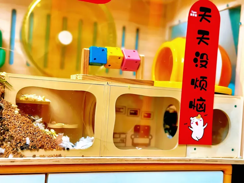 磁吸仓鼠迷宫屋：仓鼠版“乐高”小别墅​