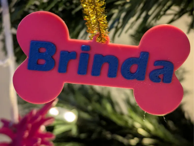 Dog bone ornament 