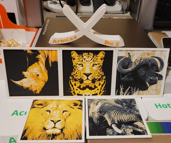 https://makerworld.bblmw.com/makerworld/model/US13595168fd391b/design/2024-01-29_51b39741ecaab.jpeg
