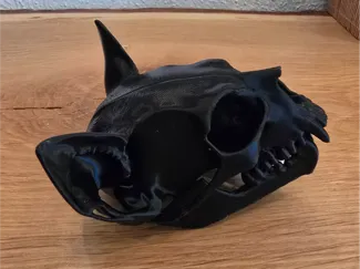 Skull 004 - Cat