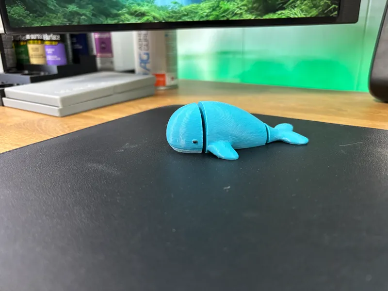 Cute Articulated Whale