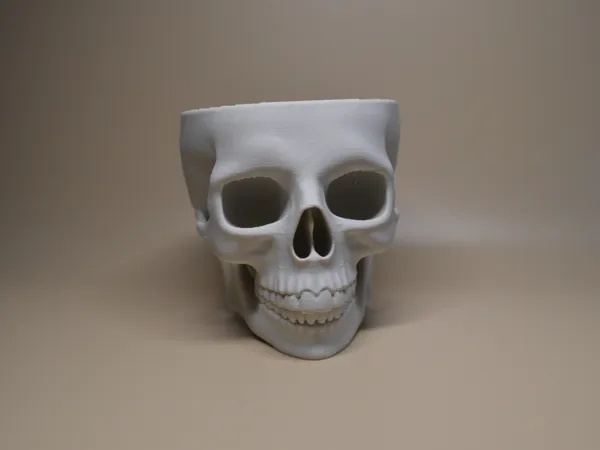 https://makerworld.bblmw.com/makerworld/model/US1360c26cd27653/design/2025-06-22_1a44d973f970a.jpg