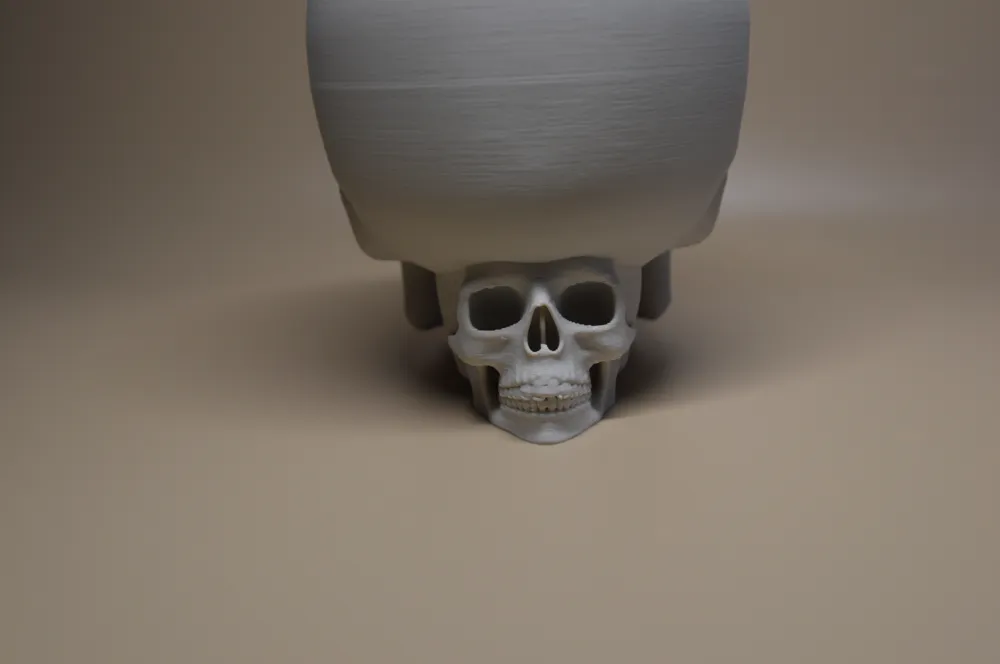 Skull bowl with skull support by _JkJk_ MakerWorld: Download Free 3D Models
