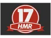 Patch magnet : 17 hmr 2