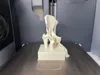Hip Joint - Split Parts (AMS for Labels Only)
