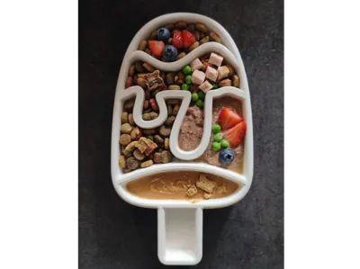Ice Cream-Shaped Pet Slow Feeder Bowl
