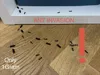 Tiny Ant