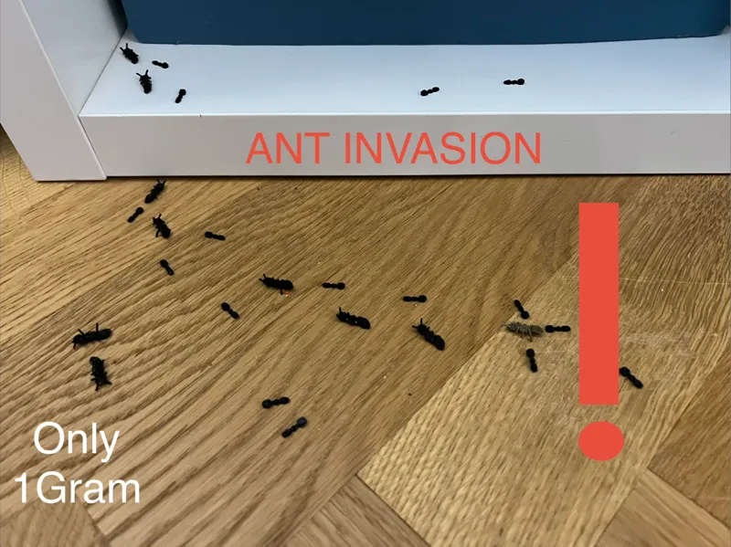 Ant Invasion PRANK