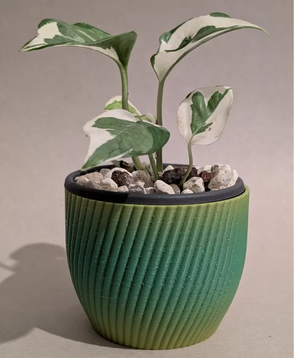 https://makerworld.bblmw.com/makerworld/model/US1372cebc21fcc/design/2025-01-03_e37fc900527b4.jpg