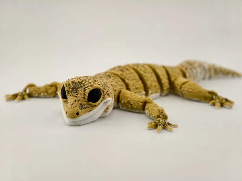 Articulated Leopard Gecko