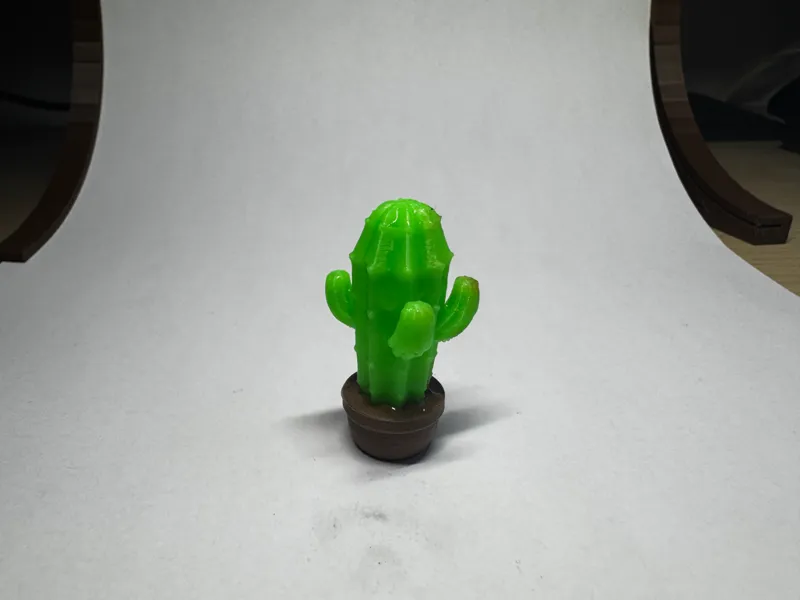 Cactus temp-sensitive, w/o AMS, w/o supports