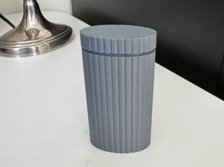 Q-tip travel case
